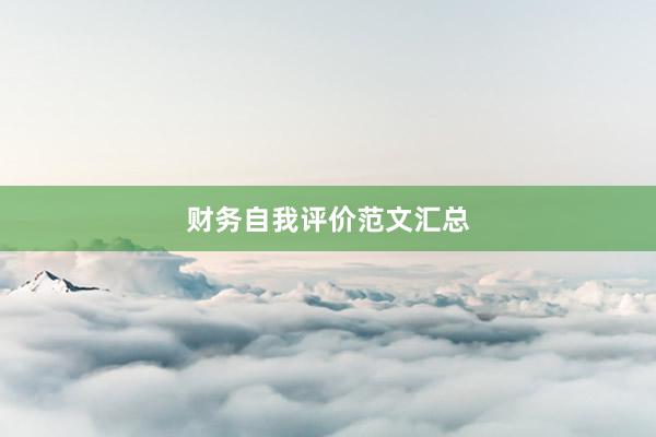 财务自我评价范文汇总